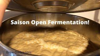 Brewing a Saison With a Partial Open Fermentation - Brew Dudes