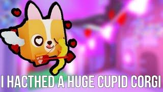 I HACTHED A HUGE CUPID CORGI 