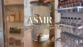 Satisfying Cleaning/Organizing/Restocking TikToks ⭐️Asmr #24