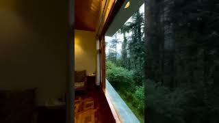 Best stay in Shimla | Homestay in Shimla | Best Hotel in shimla #shorts