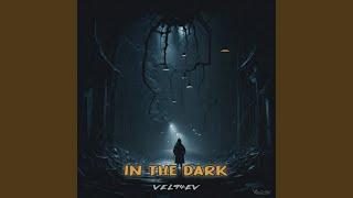 In the Dark (Silence Version)