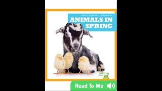 Animals in Spring