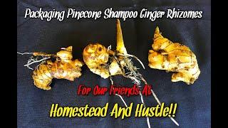 Packaging Pinecone Shampoo Ginger Rhizomes For Our Friends At Homestead And Hustle!!
