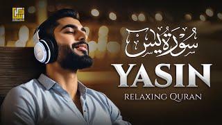 Surah Yasin (Yaseen) سورة يس | This Magical Voice Will TOUCH Your HEART إن شاء الله | Zikrullah TV