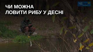 Ситуація на річках Чернігівщини: чи можна вже ловити рибу в Сеймі та в Десні