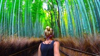 BAMBOO FOREST + SCARY MONKEYS (Kyoto Japan)