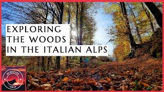 WALKING IN THE ITALIAN ALPS | Exploring my new property  AUTUMN IN THE ALPS