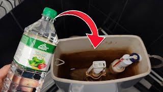 Here's What Happens When You Pour VINEGAR INTO THE TOILET BOWL  INCREDIBLE RESULT