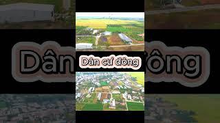 Đất Tây Ninh giá rẻ ngay gần chợ Phước Thạnh, Gò Dầu, Tây Ninh. 6m mặt tiền nhựa 790 tr