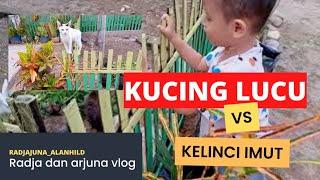 Radja and Juna bermain bersama kucing lucu vs kelinci imut