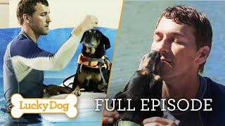 Old Dog, New Trick! You Won’t Believe This Transformation | Lucky Dog Full Episode