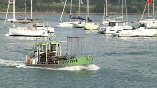 GOLFE DU MORBIHAN   |  La Magie de l'Automne   |  Bretagne Télé