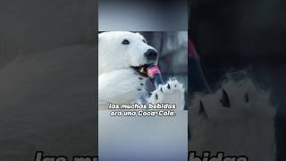 Los animales del zoológico están disfrazados.#futurelink #film