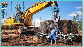 Incredible Biggest Stump Removal Excavator At Another Level | Powerful Stump Grinding Machines