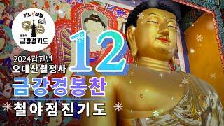 금강경 봉찬기도 12월 철야정진기도법회 | 2024년 12월 14일 토요일 | 19:00 ~ 03:40 | 1부 자현스님 법문 (문수선원)