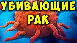 Рак Умирает, когда вы Едите эти 15 продуктов! Продукты Против Рака