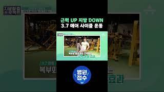 근력 UP 지방 DOWN 에어 사이클 운동