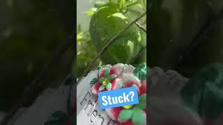 #howto get unstuck #life #dreams #working #dontgiveup #selfdreamers  #entertainment  #farming