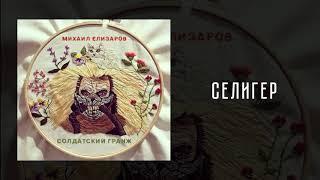 Михаил Елизаров — Селигер