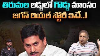 Real Fact Tirumala Laddu : Tirumala Laddu Controversy | CM Chandrababu vs Ys Jagan | AP Politics