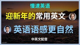 针对英语初学者，慢速英语，迎接新年英语对话，新年交流技巧学会这些英语短句，新年交流无障碍英语学习，新年庆祝的高频英语对话提升沟通能力，新年英语速成新年必看，新年场景对话解析提高你的英语，新年英语大揭秘