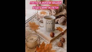 Желаю, чтобы всё у вас сложилось
