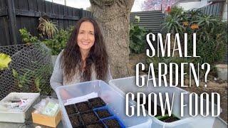 GROW FOOD IN A SMALL GARDEN - Sowing Seeds for Small Veggie Garden