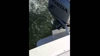 Shallow water with Judge 27 Chesapeake