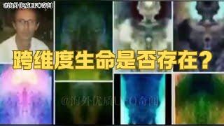 跨维度生命是否存在？发现者神秘消失 大量拍摄到的跨维度生命 #跨维度 #跨维度生物 #外星人 #神 #恶魔