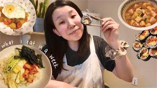 What I Eat in a Week  | Korean 한국식 Meals for Pregnant Moms