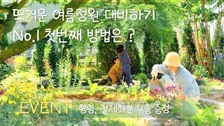 뜨거운 6월정원, '이걸' 뿌려주세요! | [마감]구독자 이벤트 행잉,철제화분 4종 증정 | 유럽민들레 크레피스, 솔체, 천인국, 바위수국 등  korean home garden