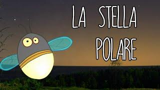 Cerchiamo la Stella Polare