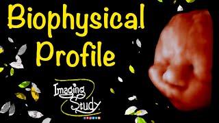 Fetal Biophysical Profile - Imaging Study Lecture