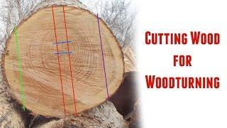 Cutting Logs into Turning Blanks ~ Part 1