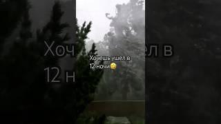 Люблю свободный график работы #юмор #прикол #tiktok #мем #reels #shorts