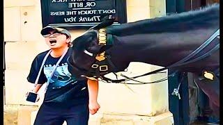 London's Horse Fights Back: The UNEXPECTED Consequences!