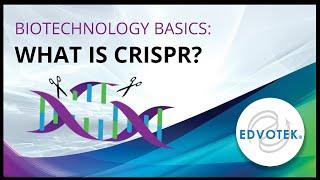 Biotechnology Basics: What is CRISPR?