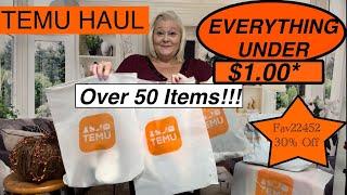 HUGE  TEMU HAUL  EVERYTHING UNDER $1.00* 