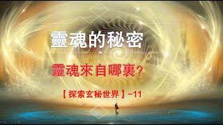 探索灵魂之灵魂从哪里来的？【探索玄秘世界】-11