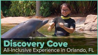 A Day at Discovery Cove Orlando — What’s It Like (And What’s Included)?