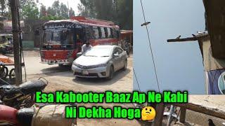 Road Pe Kabooter Rakh Ke Baazi Urane Wala Kabooter Baaz  Na Koi Jaal Ni Chatri | Babar Pigeons Club