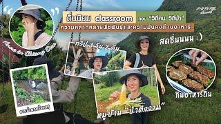 Anne in Chiang Dao | ถิ่นนิยม Classroom “วิถีคน วิถีป่า ความหลากหลายพืชพันธุ์และความมั่นคงด้านอาหาร“