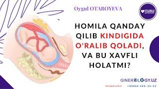 Homila kindiga qanday qilib o'ralib qoladi va bu xavfli emasmi?