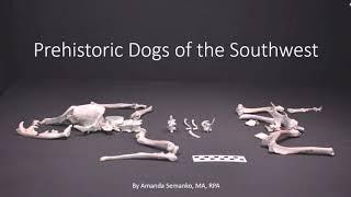 Mesa Talks: Prehistoric Dogs of the Southwest