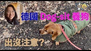 【蒜咩Vlog】德國 Dog-sit 養狗    每 4 小時有咩特別要注意 ️