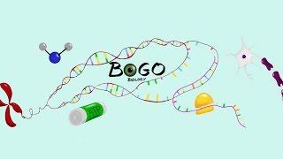 Welcome to BOGObiology!