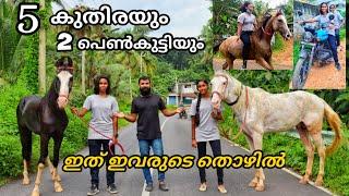 കുതിരകളെ അവരുടെ തൊഴിലാക്കി മാറ്റിയ പെൺകുട്ടികൾ Horse Riding girl horse training