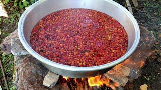 Wood Fired Rosehip Marmalade! How to Make Rosehip Marmalade? Rosehip Marmalade Recipe!