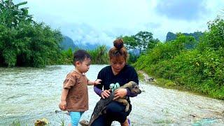 The journey to rescue a poor dog during a flash flood - Harvest jackfruit to sell