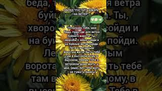 ️baba_ninay Телеграмм | Заговор | Магия Жизни |#shorts#tiktok #приметы#magic#помощь#советы#заговоры